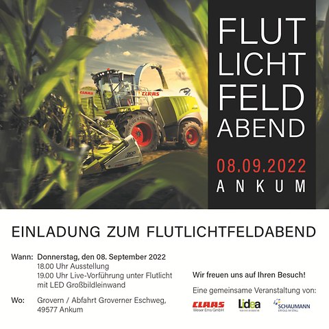 Flutlichtfeldabend (1)